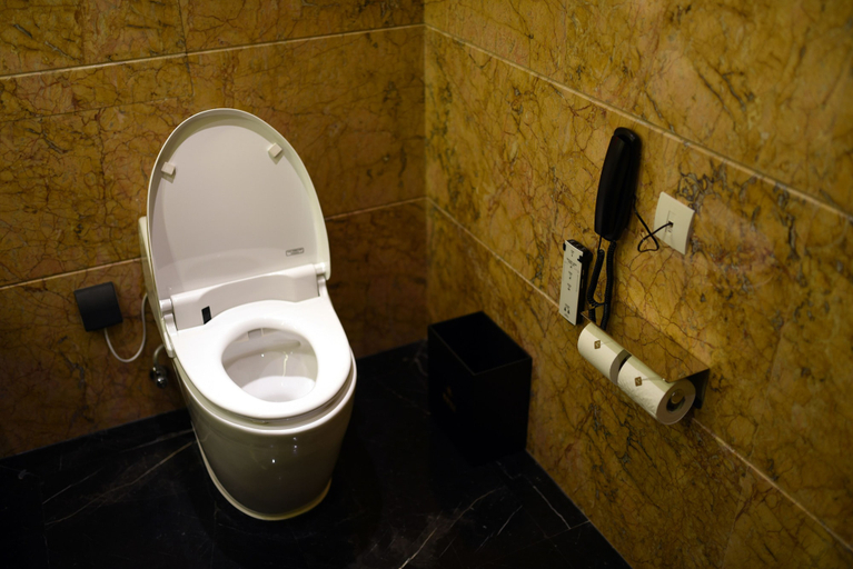 Bathroom 5, Tylfull Hotel, Beijing