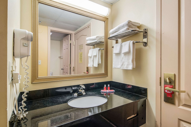 Bathroom 4, Econo Lodge At Six Flags, Cobb