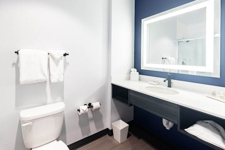 Bathroom 4, Hayward Inn, Lane