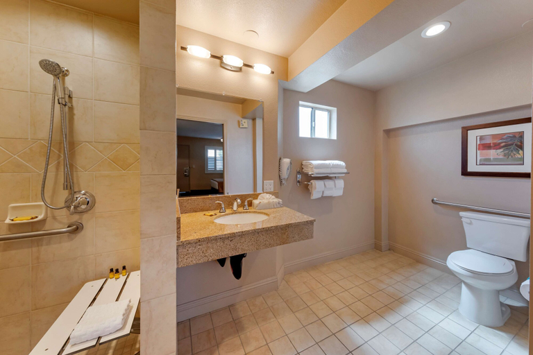 Bathroom 4, Best Western Plus Pavilions, Orange
