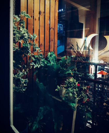 Exterior & Views 2, GOIN Old House & Bar, Tainan