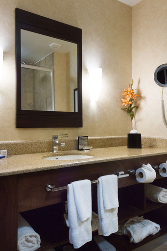 Bathroom 4, Best Western Premier Monterrey Aeropuerto, Apodaca