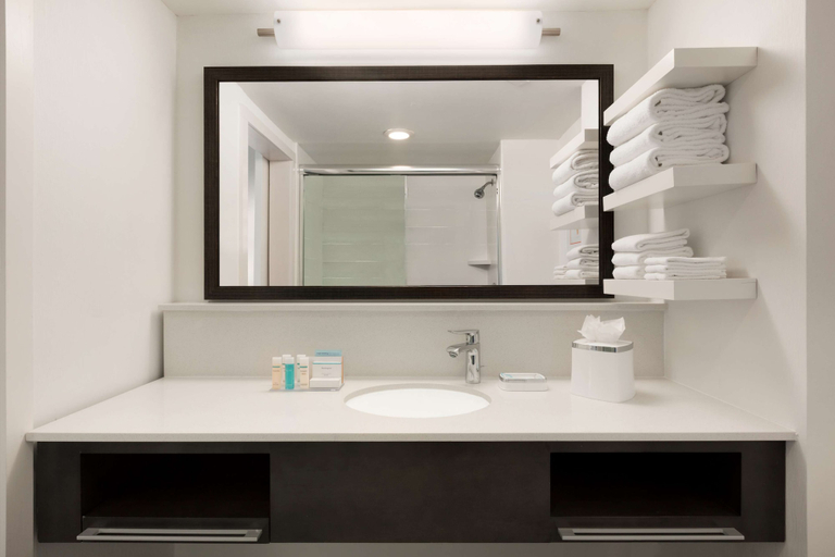 Bathroom 4, Hampton Inn Atlanta Buckhead, Atlanta