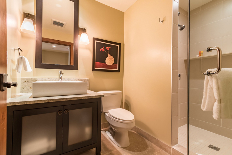 Bathroom 3, Etoile du Matin - RVMT, Les Laurentides
