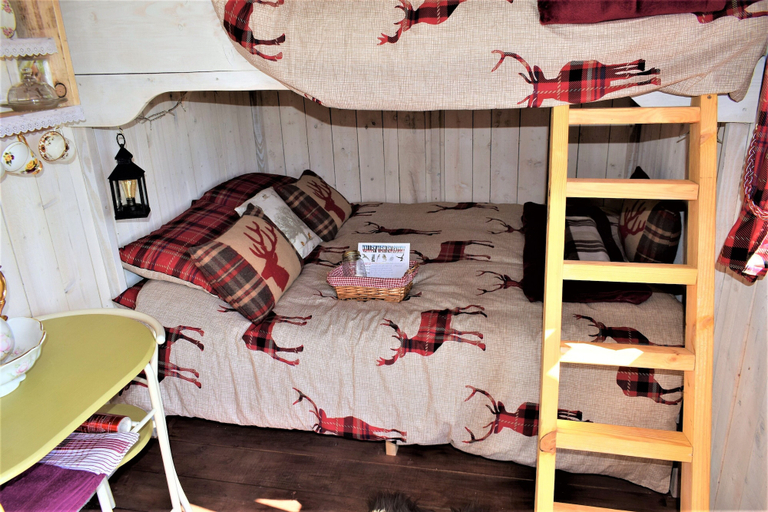 Bedroom 5, Meadow Shepherds hut, Powys