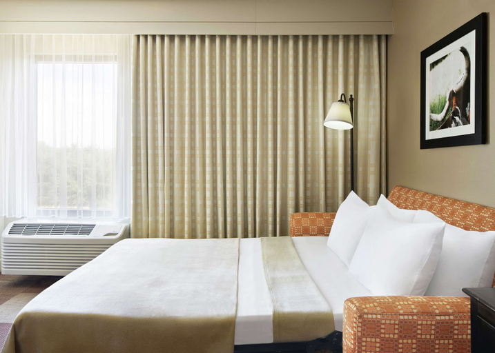 Bedroom 3, Hampton Inn Dallas-Irving-Las Colinas, Irving