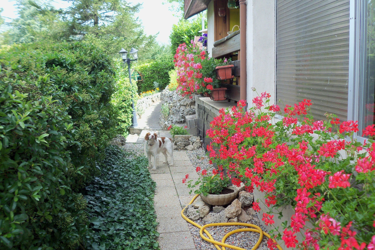 Others 3, Les Egalieres, Aveyron