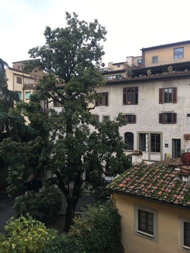 Others 5, Cellini, Florence