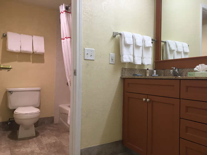 Bathroom 4, Birch Hill Grand Rapids, Kent