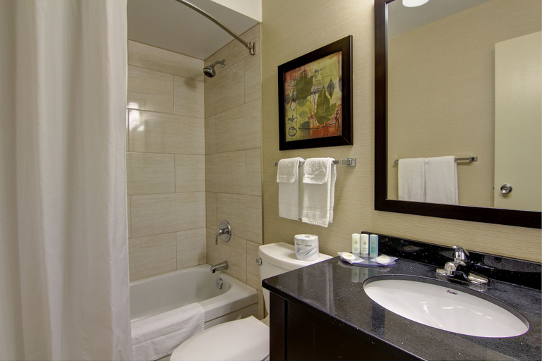 Bathroom 4, Comfort Inn Windsor, Essex