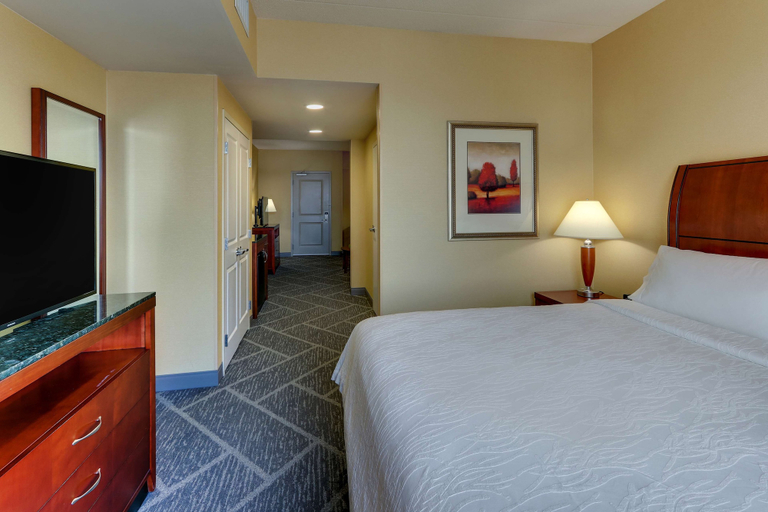 Bedroom 3, Hilton Garden Inn Indianapolis Airport, Indianapolis
