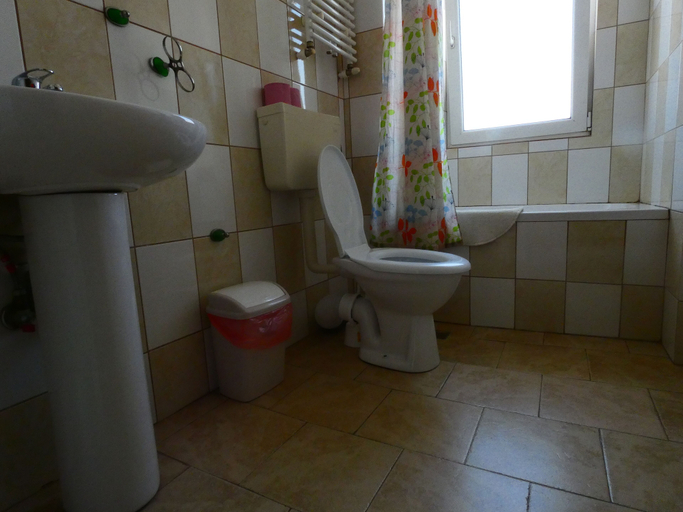 Bathroom 5, Taxi Hostel, Otopeni