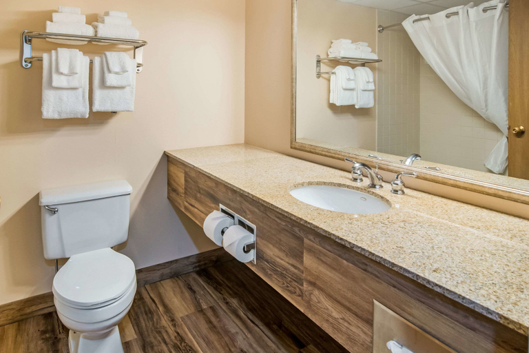 Bathroom 4, Quality Inn & Suites Virginia MN, Saint Louis