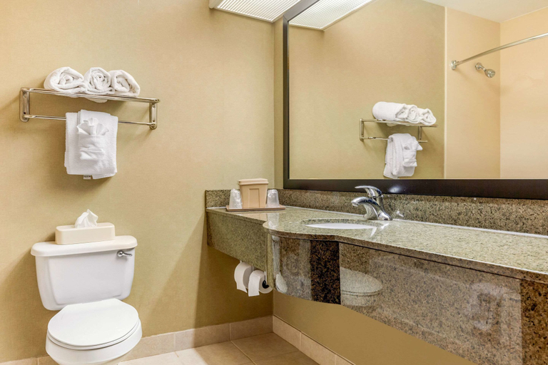 Bathroom 4, Quality Suites Sherman, Grayson