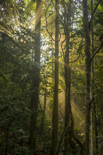 Others 4, Kinabatangan Wildlife Lodge - Hostel, Kinabatangan