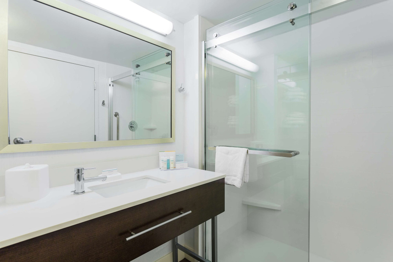 Bathroom 4, Hampton Inn Manassas, Prince William