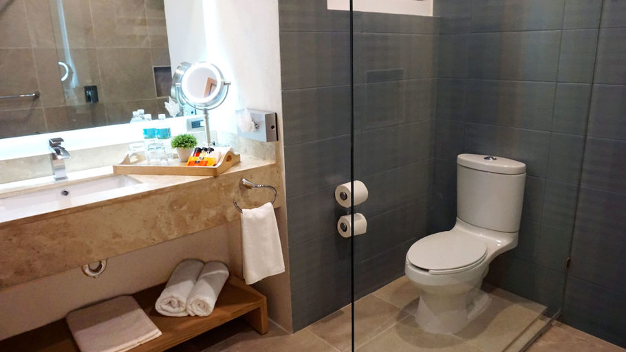 Bathroom 5, Hit Hoteles Aeropuerto Puebla, Calpan