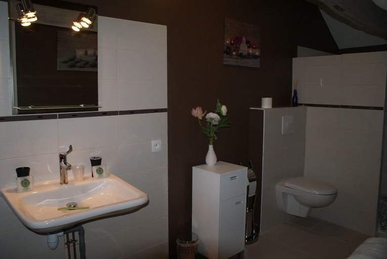 Bathroom 5, La Cler’Hier, Aube