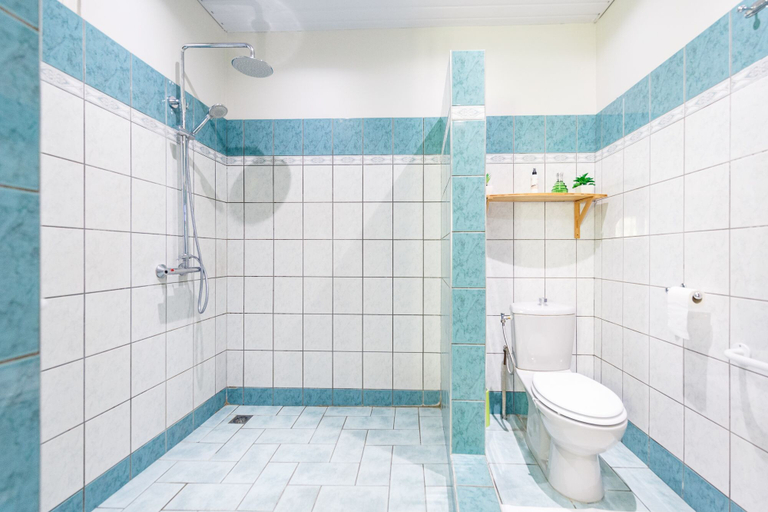 Bathroom 5, Au Regina