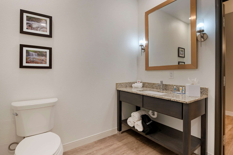 Bathroom 4, Comfort Suites Cincinnati University - Downtown, Hamilton