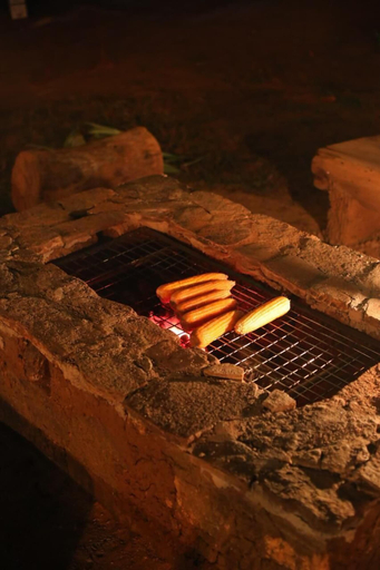 Food & Drinks 5, Camp Hasthi, Sevanagala