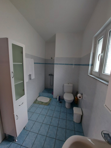 Bathroom 5, Matina Apartments Tyros, Peloponnese