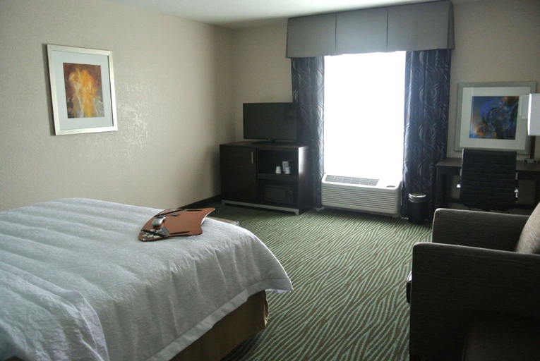 Bedroom 4, Hampton Inn Carrizo Springs, Dimmit
