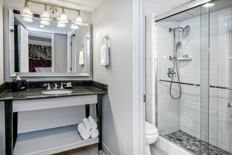 Bathroom 4, Hotel Indigo DALLAS DOWNTOWN by IHG, Dallas
