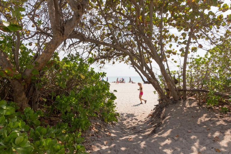 Others 5, Castle Beach Private, Miami-Dade