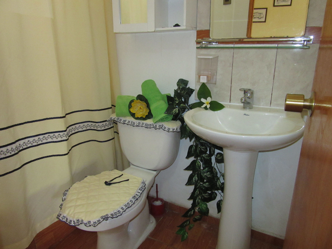 Bathroom, Mataveri Inn, ísla de Pascua