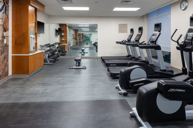 Others 5, SpringHill Suites by Marriott Suwanee Johns Creek, Forsyth