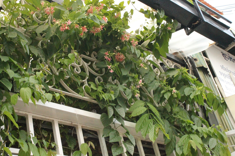 Exterior & Views 2, The Flora Boutique Hotel, Phnom Penh