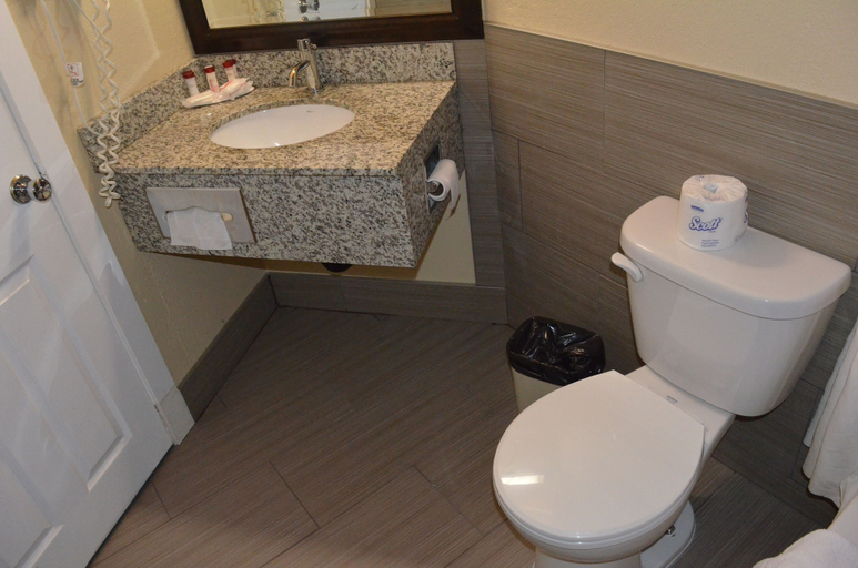 Bathroom 4, Econo Lodge Inn & Suites, Division No. 1