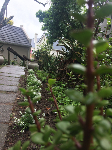 Others 4, 30 on Oatlands Accommodation Makhanda Grahamstown, Cacadu