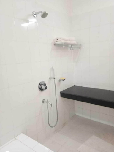 Bathroom 3, Hotel Saramati, Dimapur