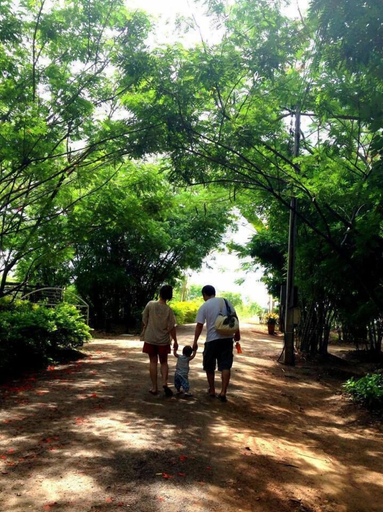 Others 5, Baan Huay Namrin, Suan Phung