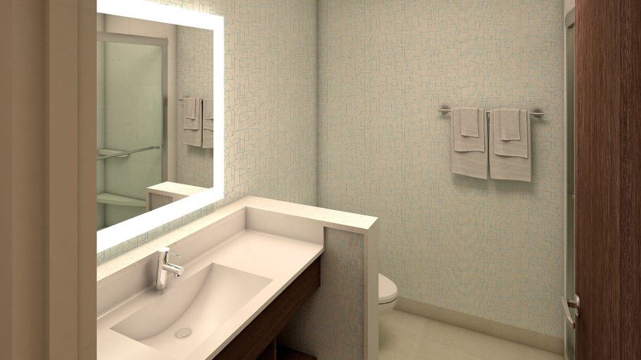 Bathroom 5, Holiday Inn Express & Suites WHITE HALL, Jefferson