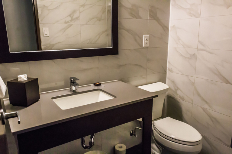 Bathroom 4, Ottawa Embassy Hotel, Ottawa