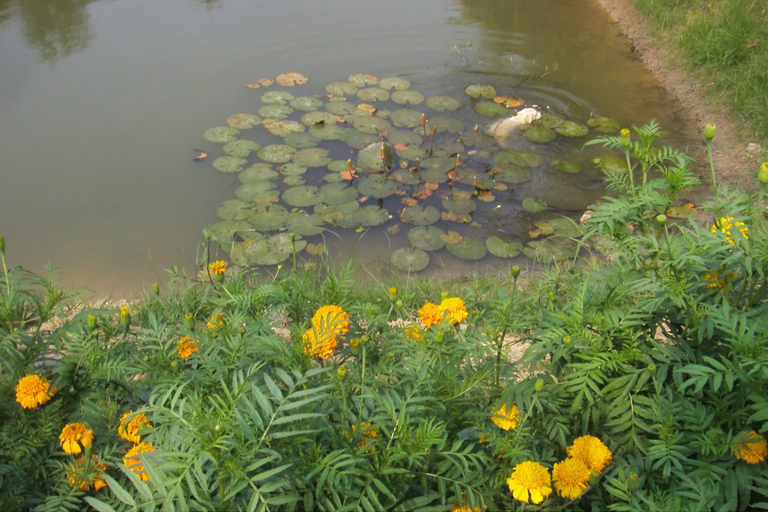 Others 3, The Zoosk Resort, Muang Suphanburi