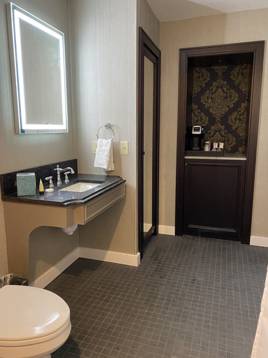 Bathroom 4, Place D' Armes French Quarter Hotel, Orleans