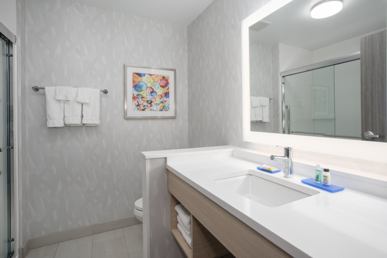 Bathroom 5, Holiday Inn Express & Suites DENVER NE - BRIGHTON by IHG, Adams