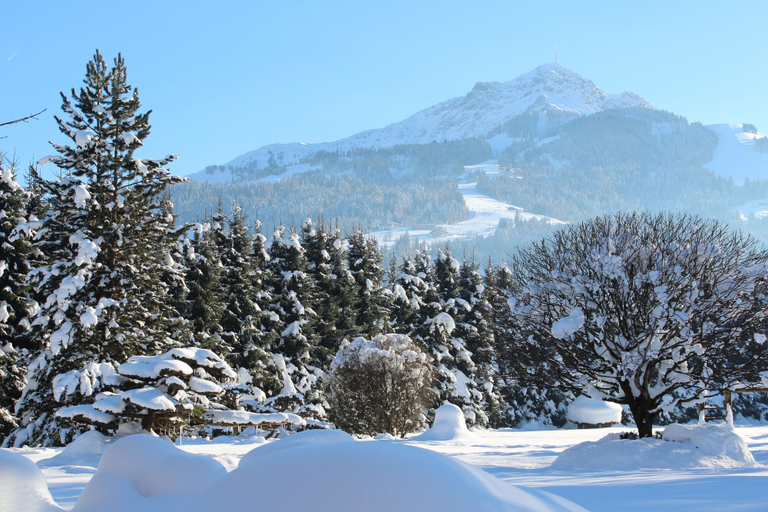 Others 5, Luxury Apartment Schoenbichl, Kitzbühel