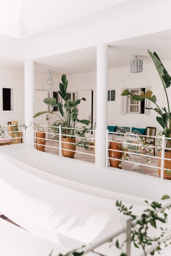Food & Drinks 5, Zwin Zwin Boutique Hôtel & SPA, Marrakech