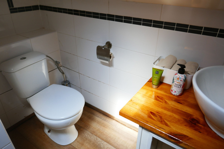 Bathroom 5, Boat apartment Rotterdam Fokkelina, Rotterdam