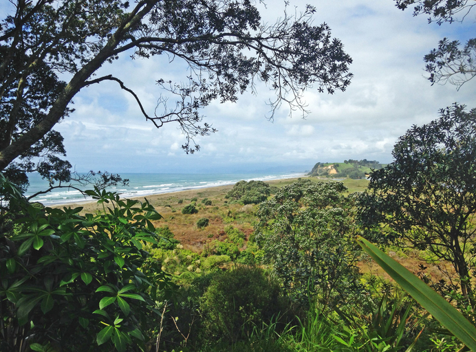 Others 5, Ohiwa Seascape Studios, Opotiki