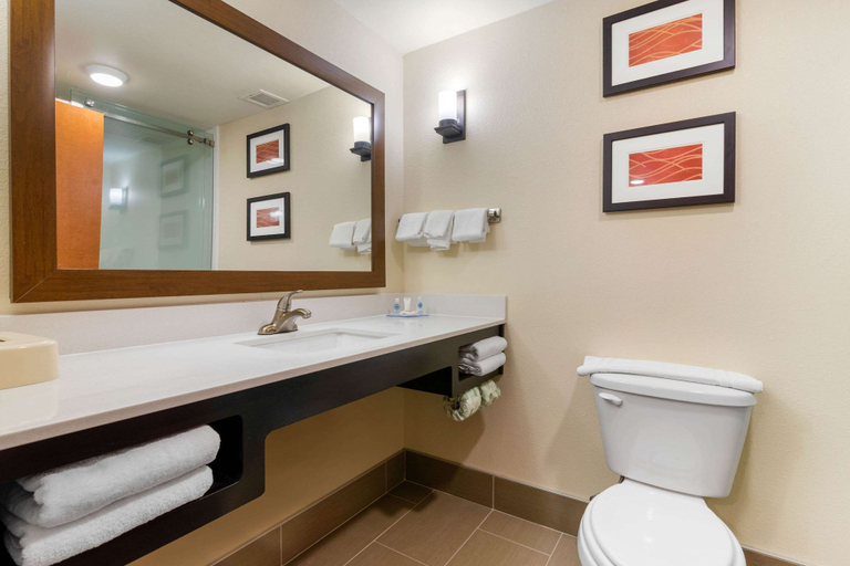 Bathroom 4, Comfort Inn & Suites Macon West, Bibb