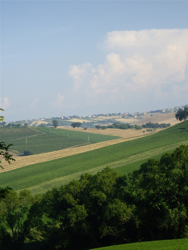 Others 3, La Quercia del Saggio, Ancona