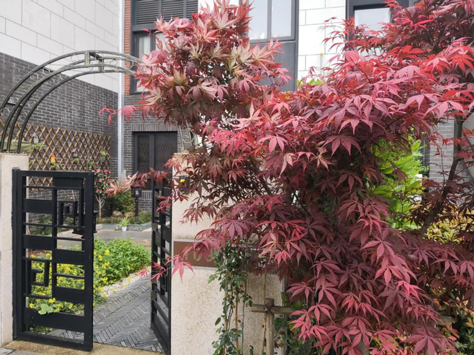 Suzhou Taihu Meilanju House, Suzhou