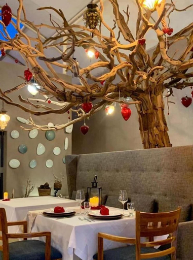 Food & Drinks 5, Hotel Alesia Boutique, Aguascalientes