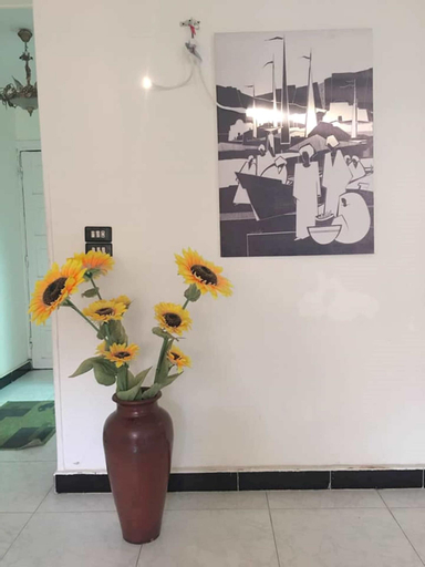 Others 5, Heliopolis Apartment, Nasr City 1